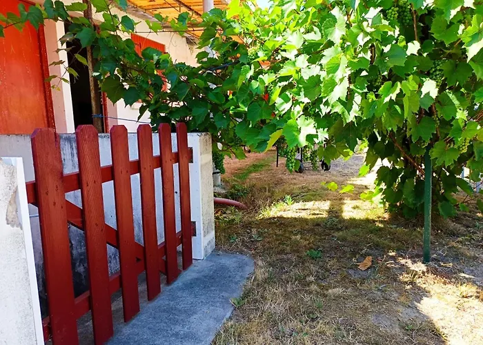 Prázdninový dům Maison Moderne 6 Pers, Pres De La Plage, Avec Wifi Et Animaux Admis - Fr-1-540-227 *