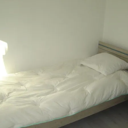 Prázdninový dům Maison Moderne 6 Pers, Pres De La Plage, Avec Wifi Et Animaux Admis - Fr-1-540-227