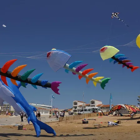 Maison Moderne 6 Pers, Pres De La Plage, Avec Wifi Et Animaux Admis - Fr-1-540-227 Tatil Evi